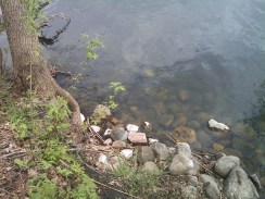 apr10uploads 095 apr10uploads 095