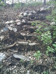 apr10uploads 096 apr10uploads 096